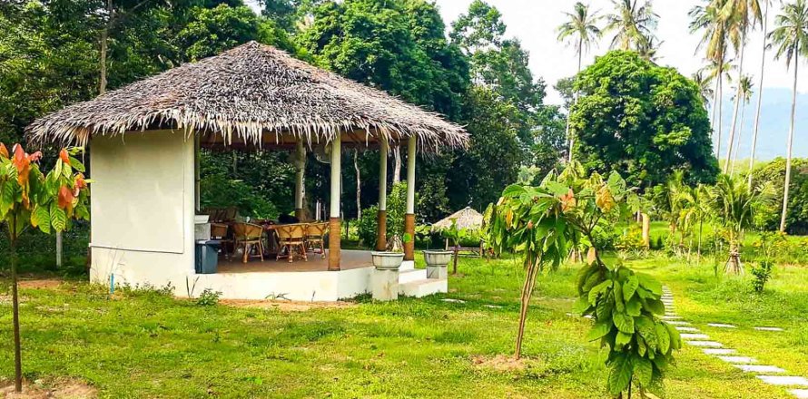 Land in Ko Samui, Thailand 7360 sq.m. № 180203