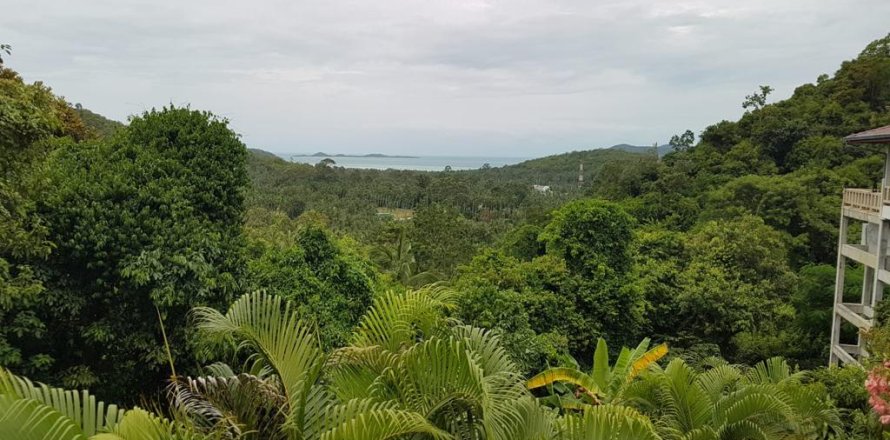 Land in Ko Samui, Thailand 4000 sq.m. № 180202