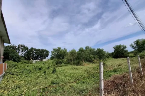 Land in Rayong, Thailand 3202 sq.m. № 137608 - photo 8