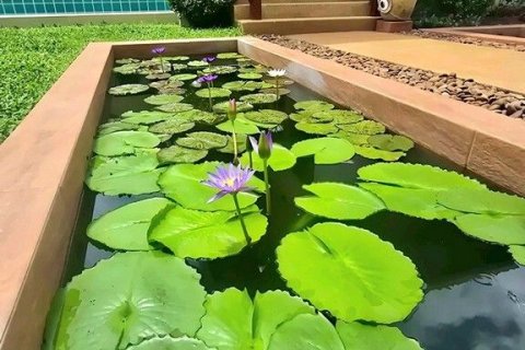 Villa in Hua Hin, Thailand 4 bedrooms № 169062 - photo 13