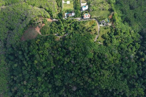 Land in Pa Klok, Thailand 22707.2 sq.m. № 169067 - photo 3