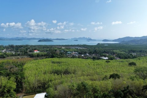 Land in Pa Klok, Thailand 22707.2 sq.m. № 169067 - photo 2