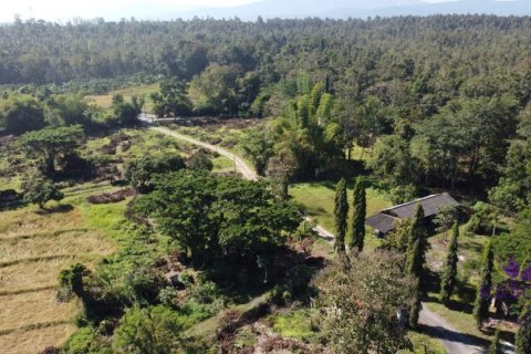 Земельный участок в Чиангмае, Таиланд  № 162682