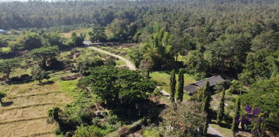 Land in Chiang Mai, Thailand № 162682