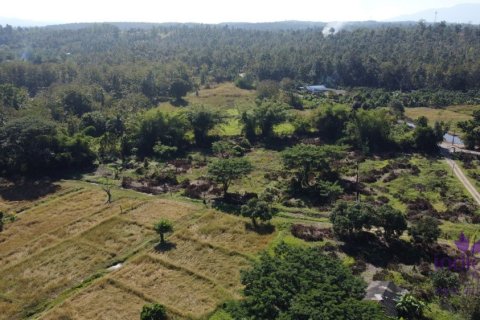 Land in Chiang Mai, Thailand № 162682 - photo 13