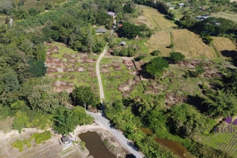Land in Chiang Mai, Thailand № 162682 - photo 10