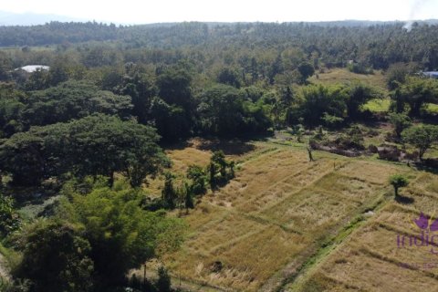 Land in Chiang Mai, Thailand № 162682 - photo 2