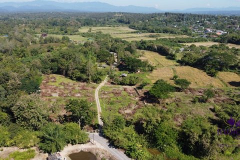 Land in Chiang Mai, Thailand № 162682 - photo 11