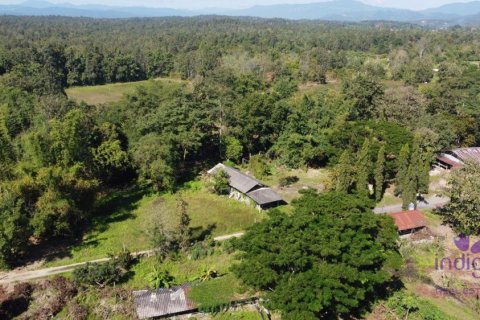 Land in Chiang Mai, Thailand № 162682 - photo 3