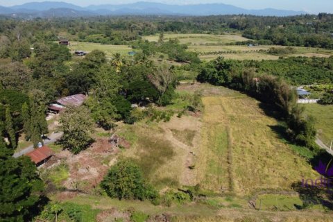 Land in Chiang Mai, Thailand № 162682 - photo 4