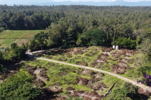 Land in Chiang Mai, Thailand № 162682 - photo 5