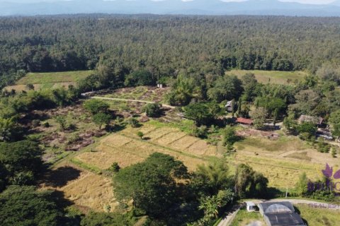 Land in Chiang Mai, Thailand № 162682 - photo 6