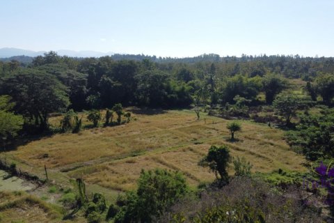 Land in Chiang Mai, Thailand № 162682 - photo 14