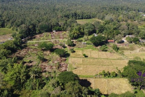 Land in Chiang Mai, Thailand № 162682 - photo 7