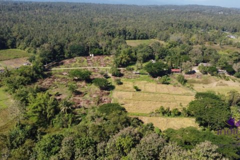 Land in Chiang Mai, Thailand № 162682 - photo 8