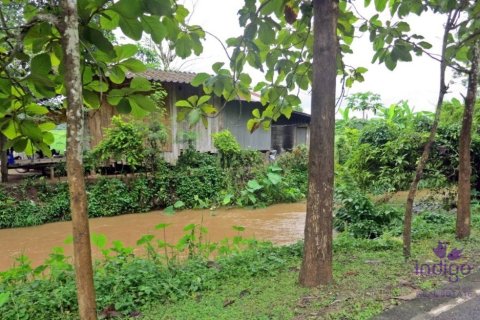 Land in Chiang Mai, Thailand № 162683 - photo 1