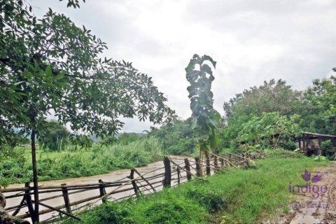 Land in Chiang Mai, Thailand № 162683 - photo 2