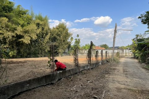 Земельный участок в Мае Риме, Таиланд 1800м2  № 157891 - фото 5