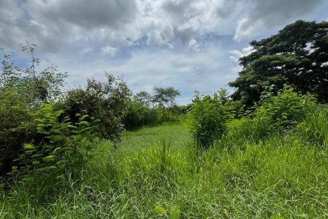 Земельный участок в Хуа Хине, Таиланд 11600м2 № 144938 - фото 6