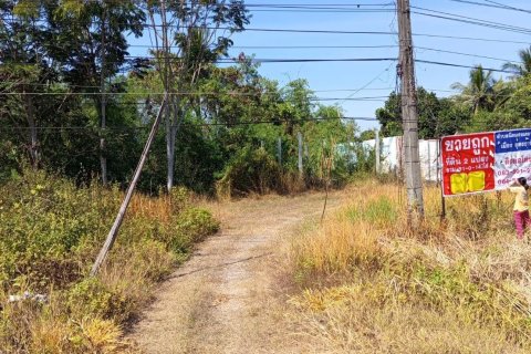 Земельный участок в Удонтхани, Таиланд 81600м2 № 155125 - фото 7