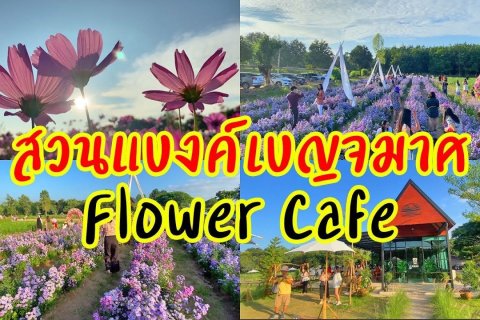 Земельный участок в Удонтхани, Таиланд 81600м2 № 155125 - фото 10