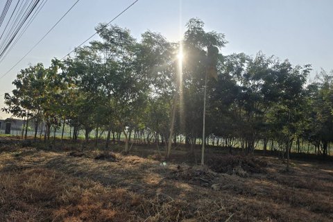 Земельный участок в Пан-понге, Таиланд 3200м2  № 155941 - фото 10