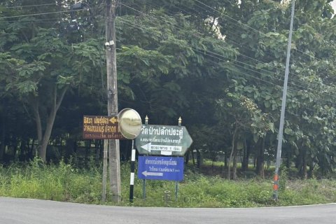 Земельный участок в Пан-понге, Таиланд 3200м2  № 155941 - фото 15