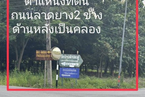 Земельный участок в Пан-понге, Таиланд 3200м2  № 155941 - фото 5