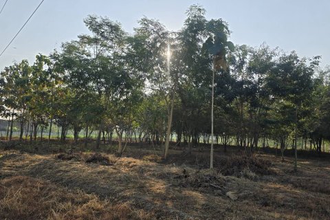 Земельный участок в Пан-понге, Таиланд 3200м2  № 155941 - фото 8