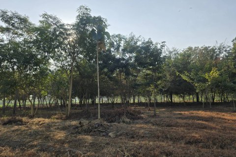 Земельный участок в Пан-понге, Таиланд 3200м2  № 155941 - фото 7