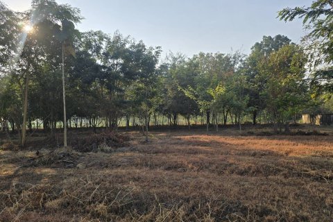 Земельный участок в Пан-понге, Таиланд 3200м2  № 155941 - фото 11