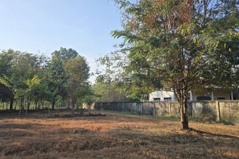 Земельный участок в Пан-понге, Таиланд 3200м2  № 155941 - фото 6