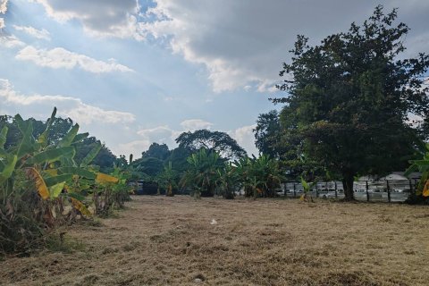 Земельный участок в Чиангмае, Таиланд 11200м2  № 155943 - фото 7