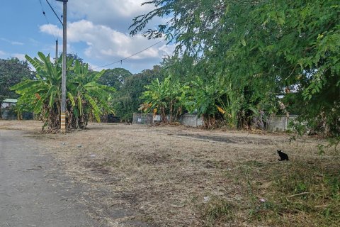 Земельный участок в Чиангмае, Таиланд 11200м2  № 155943 - фото 9