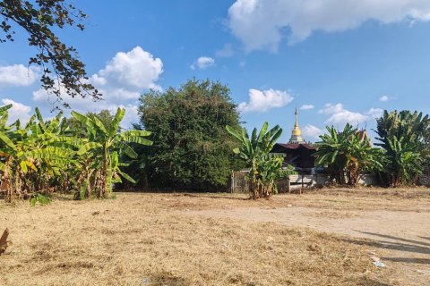 Земельный участок в Чиангмае, Таиланд 11200м2  № 155943 - фото 6
