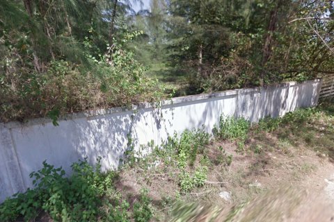 Terrain à Phang Nga, Thaïlande 27200 m2 № 167694 - photo 14