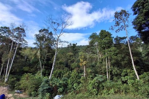 Земельный участок в Самуи, Таиланд 2400м2  № 170571 - фото 13