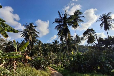 Земельный участок в Самуи, Таиланд 2400м2  № 170571 - фото 11