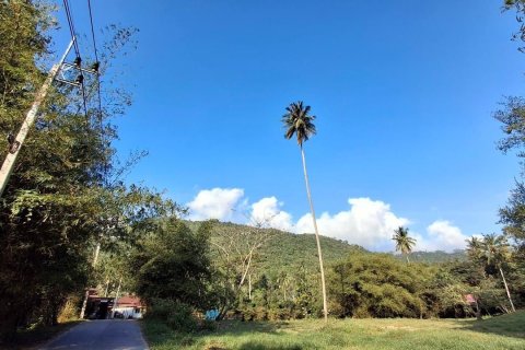Земельный участок в Самуи, Таиланд 2400м2  № 170571 - фото 10