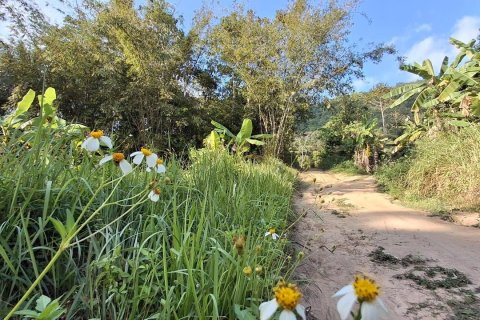 Земельный участок в Самуи, Таиланд 2400м2  № 170571 - фото 5