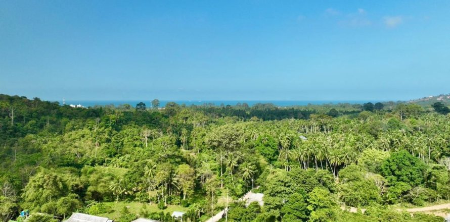 Земельный участок в Самуи, Таиланд 2400м2  № 170571