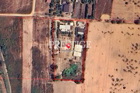 Land in Pattaya, Thailand 8812 sq.m. № 198216 - photo 5