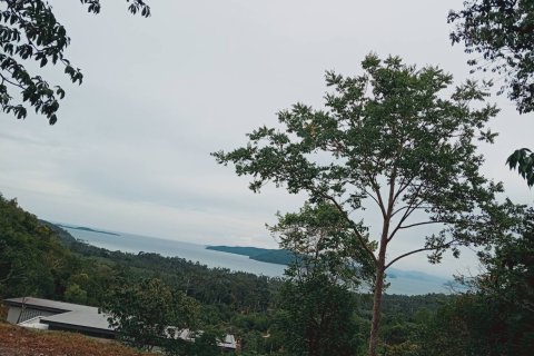 Земельный участок в Самуи, Таиланд 8000м2  № 151544 - фото 2