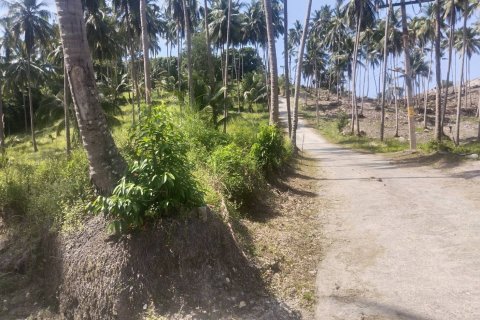 Земельный участок в Самуи, Таиланд 8000м2  № 151544 - фото 3