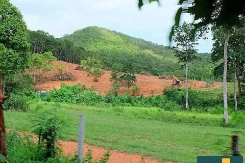Terreno en Pattaya, Tailandia № 211082 - foto 5