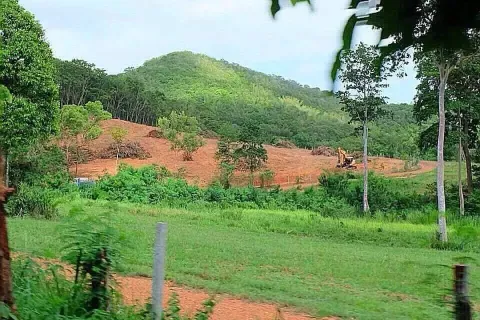 Terreno en Pattaya, Tailandia № 211082 - foto 11