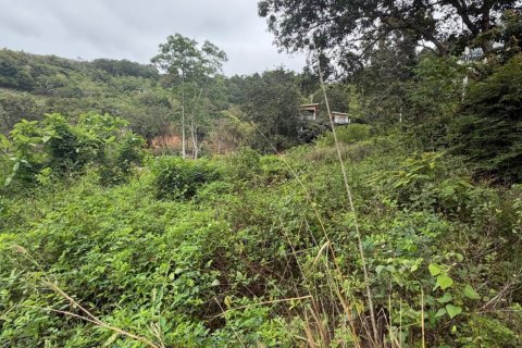 Земельный участок в Самуи, Таиланд 2358м2  № 147074 - фото 5