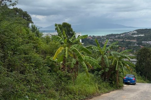 Земельный участок в Самуи, Таиланд 2358м2  № 147074 - фото 2