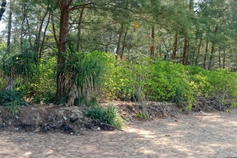 Земельный участок в Май Кхао, Таиланд 44800м2  № 152728 - фото 3