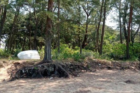 Земельный участок в Май Кхао, Таиланд 44800м2  № 152728 - фото 14